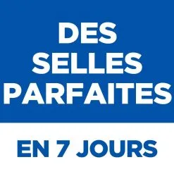 Hill's Science Plan Chien Perfect Digestion - Boîtes -Animal De Compagnie Soldes 2024 4 full