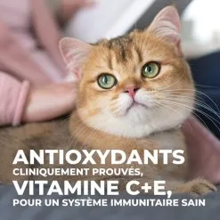 Hill's Science Plan Young Adult Sterilised - Poulet - 1,5 Kg -Animal De Compagnie Soldes 2024 513a5cf0d62442032d9ee55a67ec2324540993f1bdcabb32f01cb9250a0ec84f