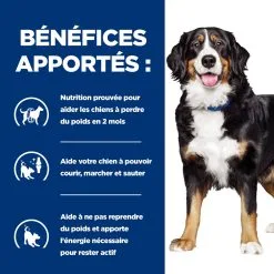 Hill's Prescription Diet Metabolic + Mobility Croquettes Pour Chien Au Poulet 4 Kg -Animal De Compagnie Soldes 2024 52742000633 3 FR