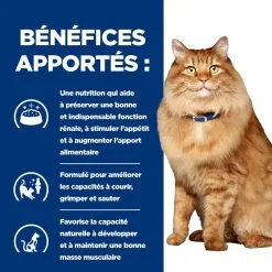 Hill's Prescription Diet K/D + Mobility Sachets Repas Pour Chat Au Poulet 12 X 85g -Animal De Compagnie Soldes 2024 52742011561 3 FR