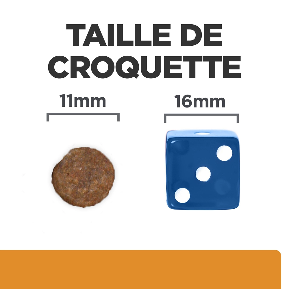 Hill's Prescription Diet K/D J/D Kidney + Mobility Croquettes Pour Chien Au Poulet - 12Kg 6 Hill's Prescription Diet K/D J/D Kidney + Mobility Croquettes Pour Chien Au Poulet - 12Kg – Image 4