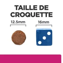 Hill's Prescription Diet Gastrointestinal Biome Croquettes Pour Chien Au Poulet - 1,5Kg -Animal De Compagnie Soldes 2024 52742026855 4 FR 2