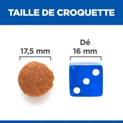 Hill's Science Plan No Grain Adult Large Breed Croquettes Sans Céréales Pour Chien Adulte De Grande Race Au Poulet - 14kg -Animal De Compagnie Soldes 2024 52742037233 5 science plan chien adult large no grain croquettes poulet