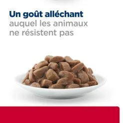 Hill's Prescription Diet C/D Urinary Stress + Metabolic Sachets Repas Pour Chat Au Poulet - 12 X 85g -Animal De Compagnie Soldes 2024 52742038537 4 FR