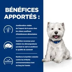 Hill's Prescription Diet Derm Complete Mini Croquettes Pour Petit Chien - 1 Kg -Animal De Compagnie Soldes 2024 52742038797 3 FR 1