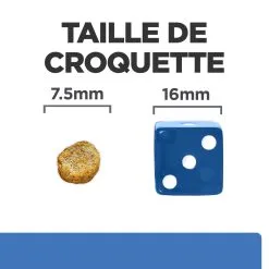 Hill's Prescription Diet Derm Complete Mini Croquettes Pour Petit Chien - 1 Kg -Animal De Compagnie Soldes 2024 52742038797 4 FR 1