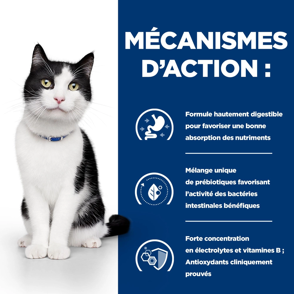 Hill's Prescription Diet I/D Digestive Croquettes Pour Chat Et Chaton Au Poulet - 3Kg 5 Hill's Prescription Diet I/D Digestive Croquettes Pour Chat Et Chaton Au Poulet - 3Kg – Image 3