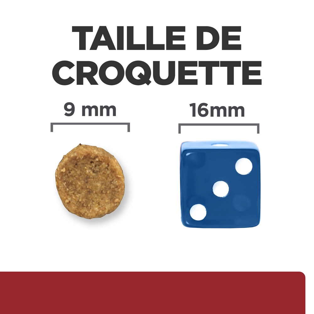 Hill's Prescription Diet I/D Digestive Croquettes Pour Chat Et Chaton Au Poulet - 3Kg 7 Hill's Prescription Diet I/D Digestive Croquettes Pour Chat Et Chaton Au Poulet - 3Kg – Image 5
