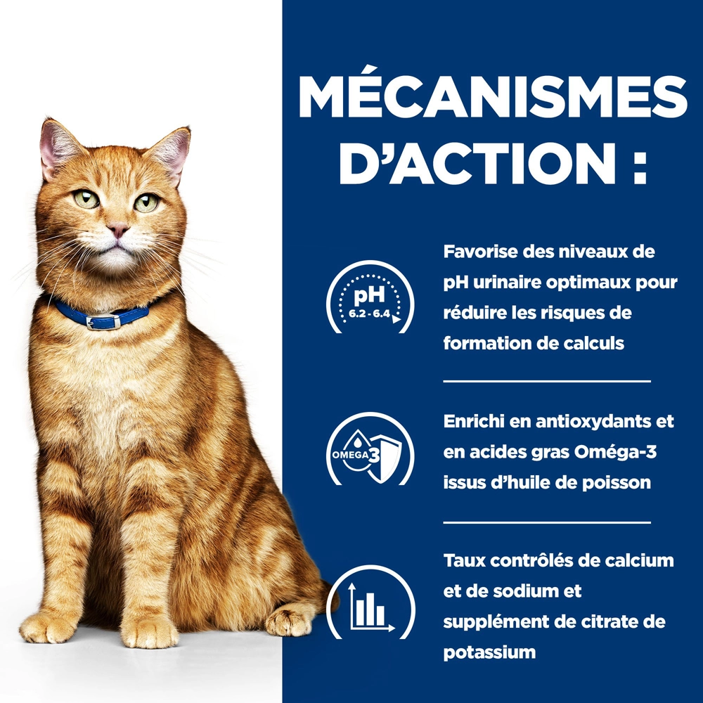 Hill's Prescription Diet C/d Urinary Multicare Croquettes Pour Chat Au Poulet - 3kg 5 Hill's Prescription Diet C/d Urinary Multicare Croquettes Pour Chat Au Poulet - 3kg – Image 3