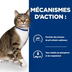 Hill's Prescription Diet S/D Urinary Croquettes Pour Chat Au Poulet - 3Kg -Animal De Compagnie Soldes 2024 52742042473 2 FR 1
