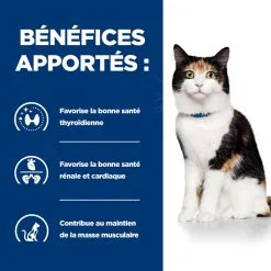 Hill's Prescription Diet Y/D Thyroïd Croquettes Pour Chat Au Poulet - 1.5Kg -Animal De Compagnie Soldes 2024 52742042503 3 FR