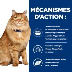 Hill's Prescription Diet K/D J/D Kidney + Mobility Croquettes Pour Chat Au Poulet - 1.5Kg 11 Hill's Prescription Diet K/D J/D Kidney + Mobility Croquettes Pour Chat Au Poulet - 1.5Kg -Animal De Compagnie Soldes 2024 52742044767 2 FR 1
