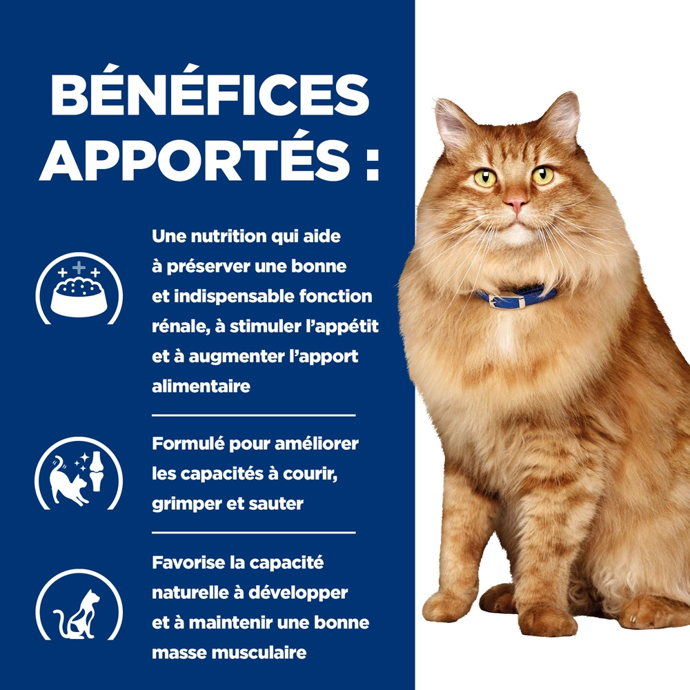 Hill's Prescription Diet K/D J/D Kidney + Mobility Croquettes Pour Chat Au Poulet - 3Kg 6 Hill's Prescription Diet K/D J/D Kidney + Mobility Croquettes Pour Chat Au Poulet - 3Kg – Image 4