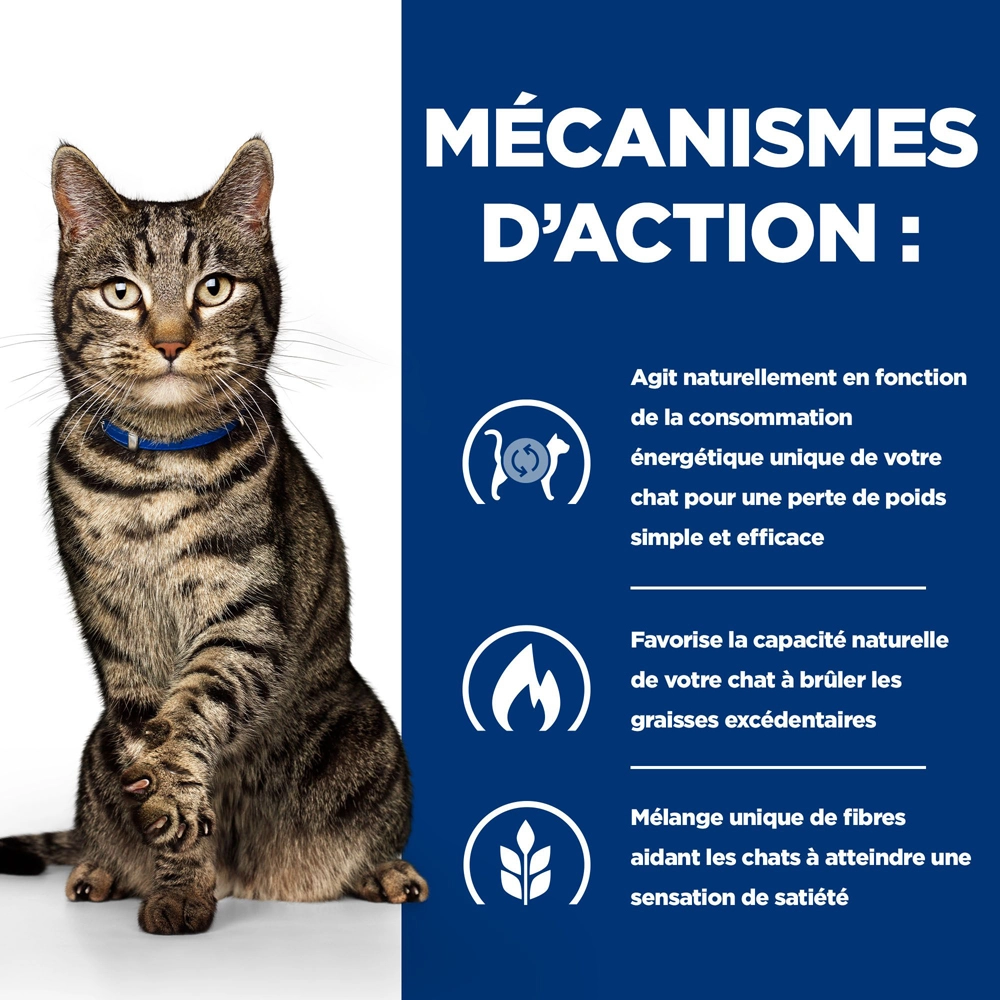 Hill's Prescription Diet Metabolic Croquettes Pour Chat Au Poulet - 1.5Kg 5 Hill's Prescription Diet Metabolic Croquettes Pour Chat Au Poulet - 1.5Kg – Image 3