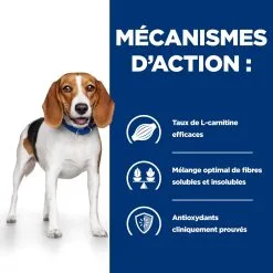 Hill's Prescription Diet R/D Croquettes Pour Chien Au Poulet 4 Kg -Animal De Compagnie Soldes 2024 52742047256 2 FR