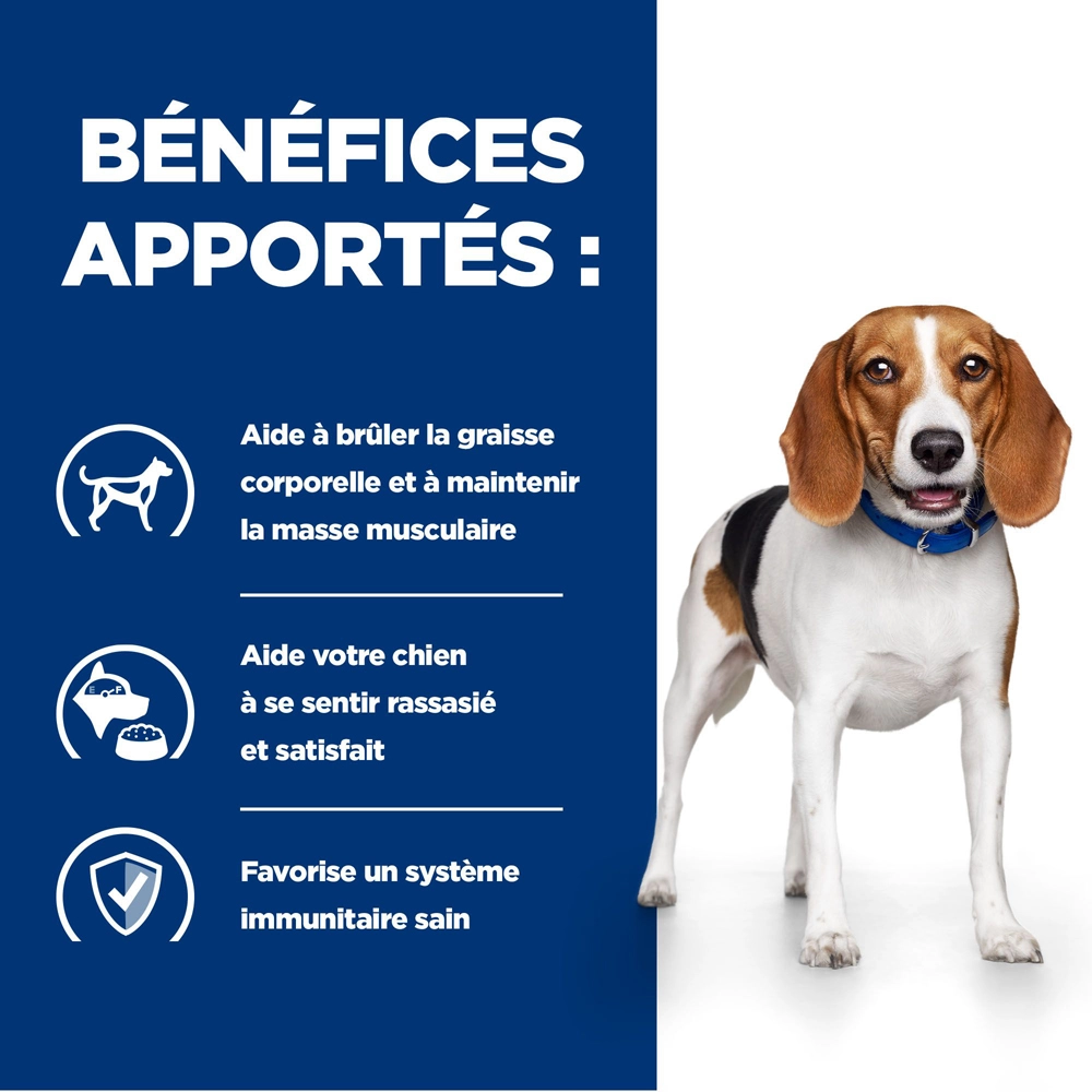 Hill's Prescription Diet R/d Weight Loss Croquettes Pour Chien Au Poulet 10 Kg 6 Hill's Prescription Diet R/d Weight Loss Croquettes Pour Chien Au Poulet 10 Kg – Image 4