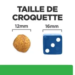 Hill's Prescription Diet R/D Croquettes Pour Chien Au Poulet 4 Kg -Animal De Compagnie Soldes 2024 52742047256 4 FR