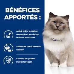 Hill's Prescription Diet R/d Weight Loss Croquettes Pour Chat Au Poulet - 3Kg 12 Hill's Prescription Diet R/d Weight Loss Croquettes Pour Chat Au Poulet - 3Kg -Animal De Compagnie Soldes 2024 52742048185 3 FR