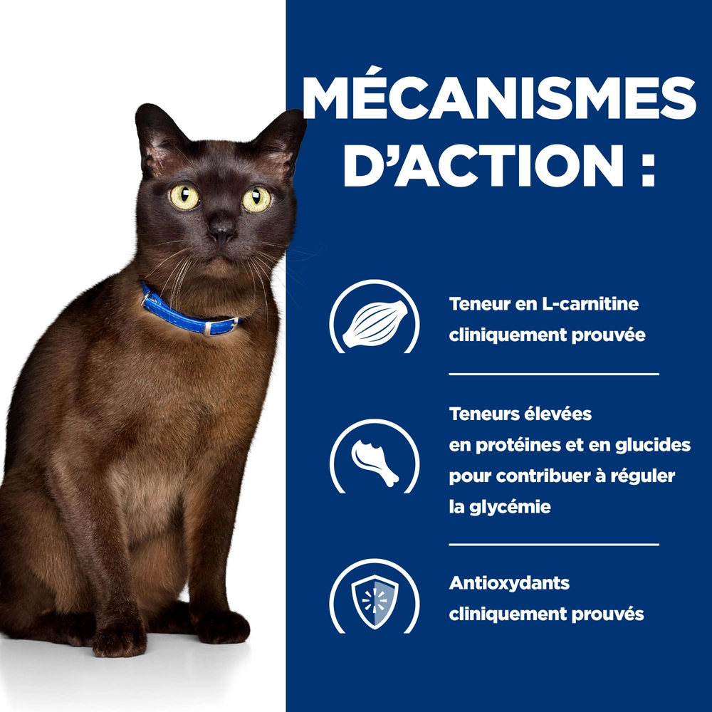 Hill's Prescription Diet M/D Croquettes Pour Chat Au Poulet 1,5 Kg 5 Hill's Prescription Diet M/D Croquettes Pour Chat Au Poulet 1,5 Kg – Image 3