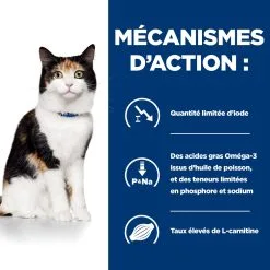 Hill's Prescription Diet Y/D Pour Chat 24x156g -Animal De Compagnie Soldes 2024 52742149608 2 FR
