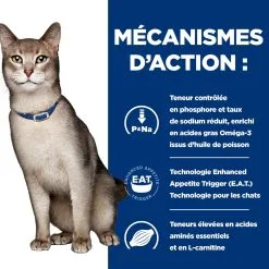 Hill's Prescription Diet K/D Sachets Pour Chat Au Boeuf - 12 X 85g -Animal De Compagnie Soldes 2024 52742274102 2 FR