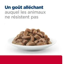 Hill's Prescription Diet C/D Urinary Stress Sachets Pour Chat Au Saumon - 12 X 85g -Animal De Compagnie Soldes 2024 52742286303 4 FR