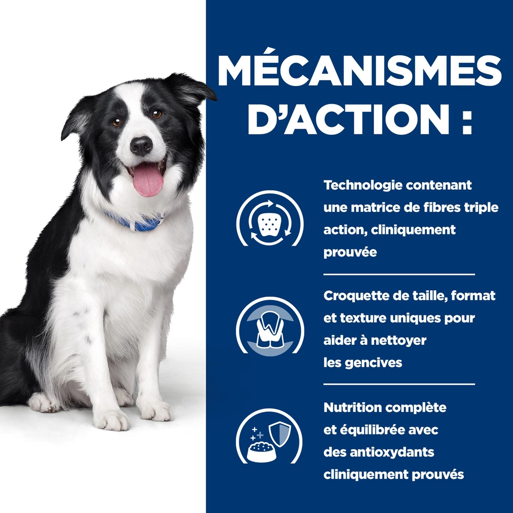 Hill's Prescription Diet T/D Dental Care Croquettes Pour Chien Au Poulet - 10 Kg 5 Hill's Prescription Diet T/D Dental Care Croquettes Pour Chien Au Poulet - 10 Kg – Image 3