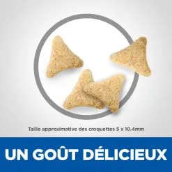 Hill's Hill’s Science Plan Mature Adult Hairball & Indoor Poulet 1,5kg -Animal De Compagnie Soldes 2024 52742761008 4 science plan chat hairball indoor chat g interieur croquettes poulet