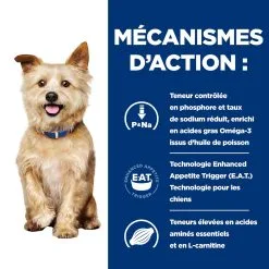 Hill's Prescription Diet K/D Kidney Care Croquettes Pour Chien Au Poulet - 1.5Kg -Animal De Compagnie Soldes 2024 52742918204 2 FR