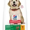 Hill's Science Plan Puppy Large Breed Pour Chien 16kg 2 Hill's Science Plan Puppy Large Breed Pour Chien 16kg -Animal De Compagnie Soldes 2024 6a074065fbc2667f525fd90799cf6044a103139384168672d899ce561cfad717