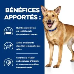 Hill's I/d Digestive Care - Prescription Diet - Canine - Mijoté Pour Chien 16 Hill's I/d Digestive Care - Prescription Diet - Canine - Mijoté Pour Chien -Animal De Compagnie Soldes 2024 7oBUOl5NMdn9m4K4pLq2mvgMZ6TK9Z metaNTI3NDIwMzk4NTVfM19GUi5qcGc