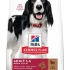 Hill's Science Plan Adult Medium Agneau & Riz 14kg -Animal De Compagnie Soldes 2024 97a9130234da0674a98b18356d1573325dc62760f1f3af889d48477a7cfccc01