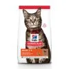 Hill's Science Plan Adult Croquettes Pour Chat À L'agneau Et Riz 7 Kg -Animal De Compagnie Soldes 2024 c3e41dfaba99d86260bf42c755d4d32a4ab4c7c435fb1f2717e049ff1f8177cb